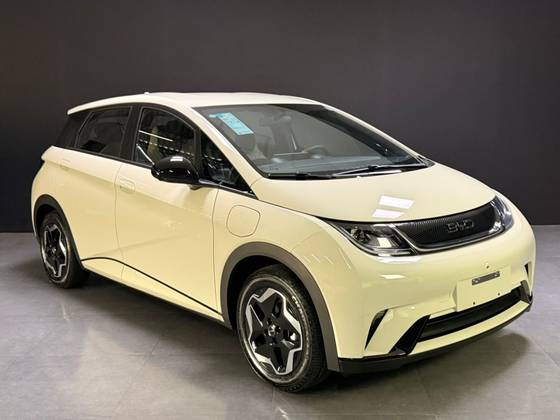 BYD DOLPHIN 44,9 KW ELÉTRICO GS